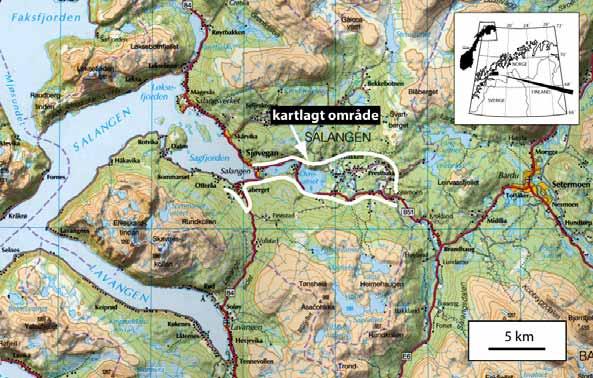 1. INNLEDNING Den del av Salangsdalen som omtales her strekker seg fra Sagfjorden til Skyssmoen, dvs. en lengde på ca. 12 km, og dalføret er innen dette område opp til 4 km bredt (Fig. 1).