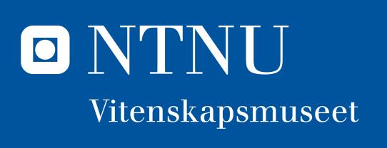 Trondheim kommune NTNU