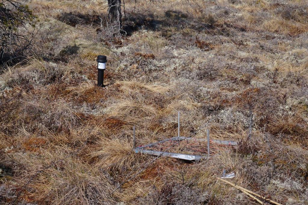 Ramma fjernes etter måling, så kun de små ståltrådene står igjen. M. Fandrem 3.