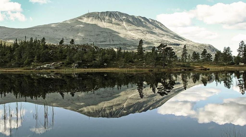 Muligheter og utfordringer nasjonalt og regionalt