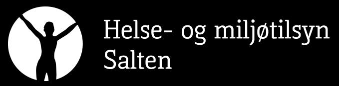 Langtidsplan strategi og økonomi 2019 2022 Helse- og miljøtilsyn Salten