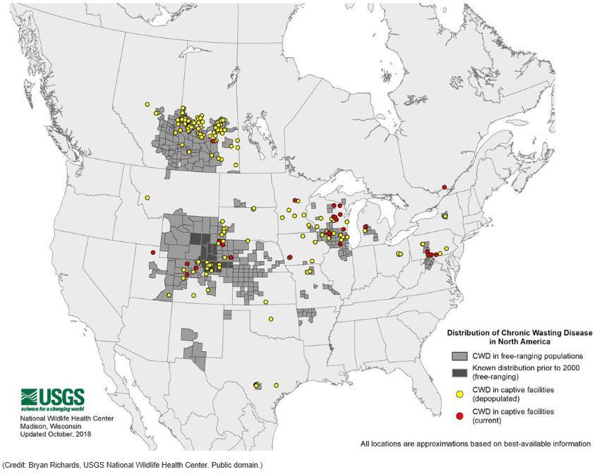 CWD i Nord-Amerika Først i forskningsbesetning av mulhjort i Colorado Funnet hos viltlevende mulhjort hvithalehjort, elk og elg I tillegg i tamme besetninger av svarthalehjort og rein 25