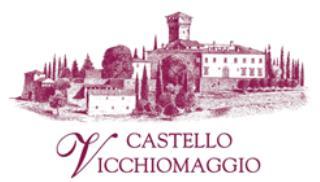 Det historiske slottet Castello Vicchiomaggio i Greve ligger