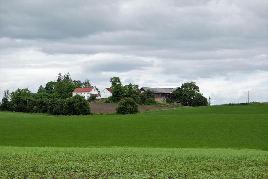 Hvordan går det med dem