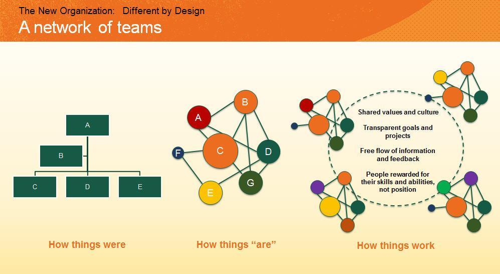 New Research Shows Why Focus On Teams, Not Just Leaders, Is Key