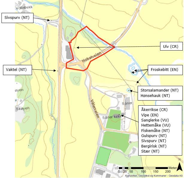 1992). Denne delen av Såna er åpen med fuktig eng på kantene opp til jorder på begge sider (Blindheim 2002b) Totalareal: 21 daa Kilder: Blindheim T. og Olsen K.M. (2004): Kartlegging av naturtyper.