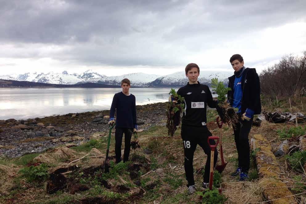 Tromsø fengsel fjernet skog rundt