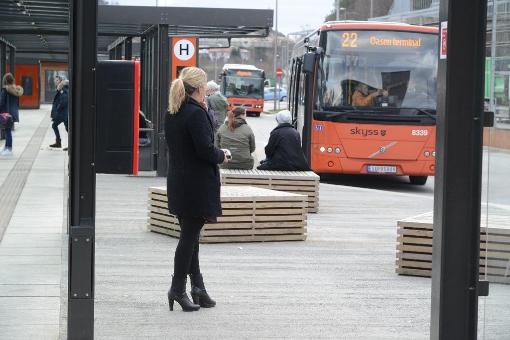 Hovedpunkter 1. Bakgrunn og formål 2. Ansvarsdeling og arbeidsprosess 3.