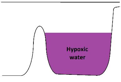 oksygenforholdene i