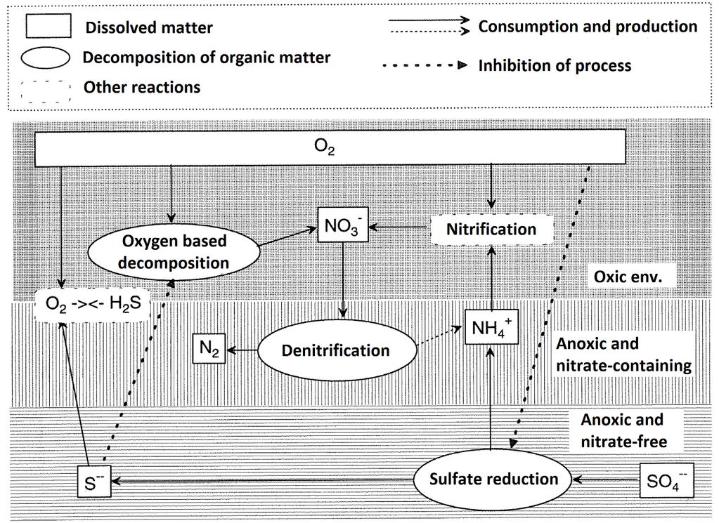 NIVA 7192-2017 Figur 18. Schematic illustration of the processes included in the NIVA Fjord model to represent decomposition of organic matter and oxygen consumption.