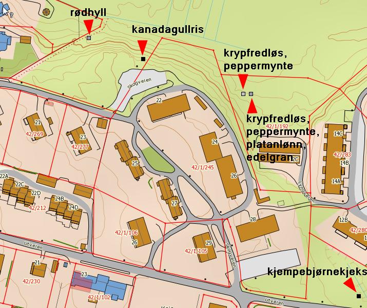 rpo001.docx 2015-10-05 ikk da artn i gansk nær fortid har hatt klar bstandsndgang båd hos oss og i vår naboland. Undr bfaring 18.05.2017 bl dt bkrftt rgistrrt følgnd rødlistartr (ingn ny): Alm på tr lokalittr.