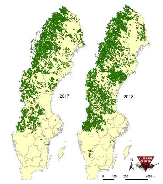 11.2 Vedlegg-Bilaga 2 Slingor som visar de körsträckor som länsstyrelserna har registrerat att man sökt efter järv i Sverige, under