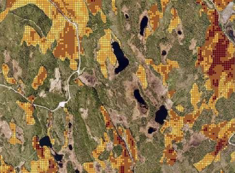 NDH laserdata og skog