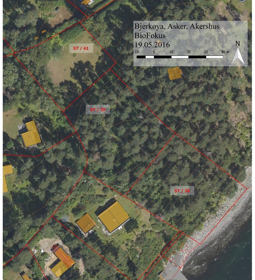 Bakgrunn BioFokus har på oppdrag for grunneier kartlagt naturverdier på tre eiendommer (57/41, 57/39, 57/38) i et område på sørside av Bjerkøya, Asker kommune (Figur 1).