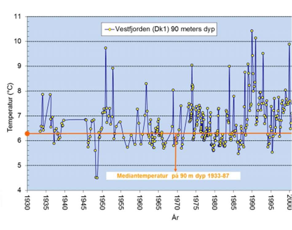 Temperaturutvikling i fjorden Temperaturutvikling fra 1933 2000 ved 90 meters vanndyp i stasjon Dk1 (Vestfjorden). (Niva 2014).