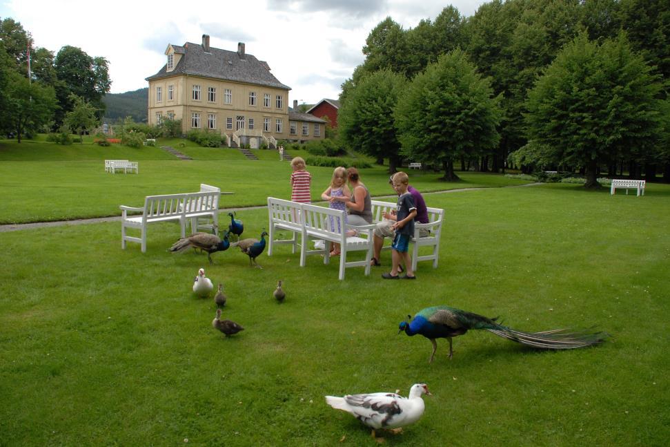 Kommunedelplan Gulskogen Nord prosess for valg av utviklingsretning 1. Bakgrunn 2.