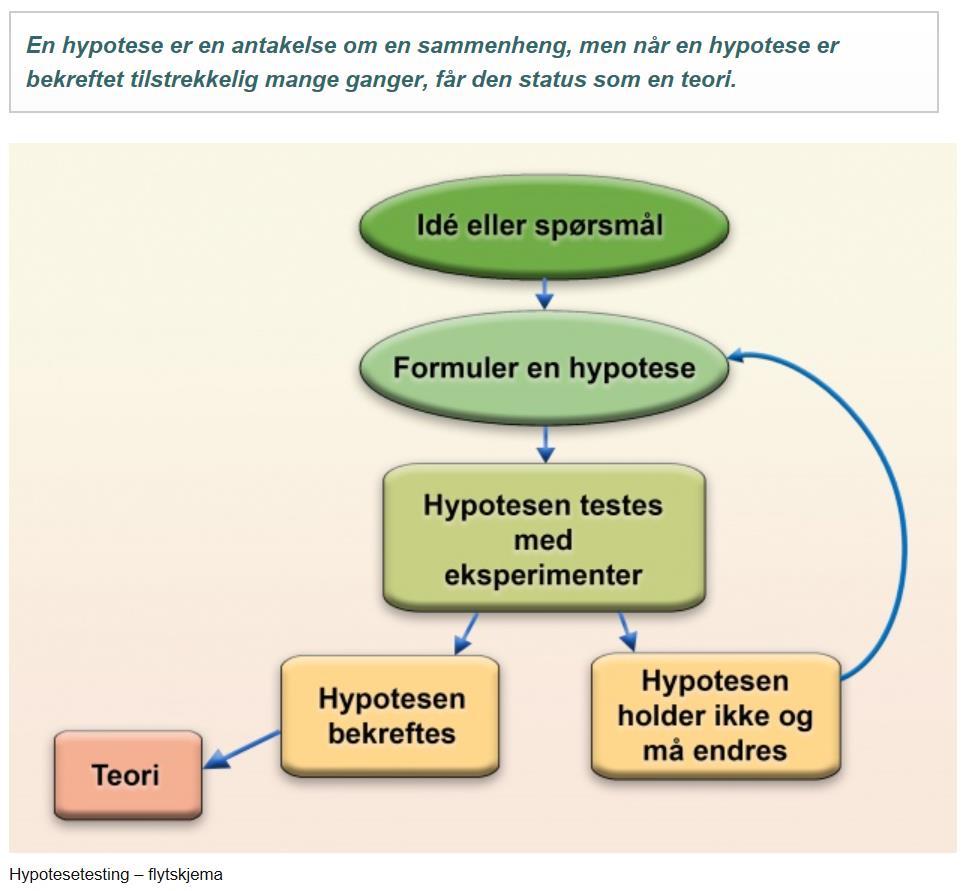 Hvilken BitBot går raskest gjennom labyrinten? I fokusuka i IT skal vi jobbe praktisk, nærmere bestemt ved å bruke naturvitenskaplig metode for å løse en oppgave.