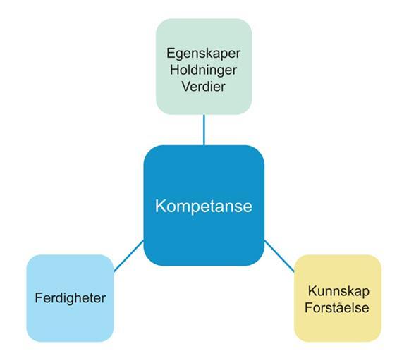 BTI - bærekraftig implementering - etablere handlingskompetanse Kompetanse: - Kunnskap -