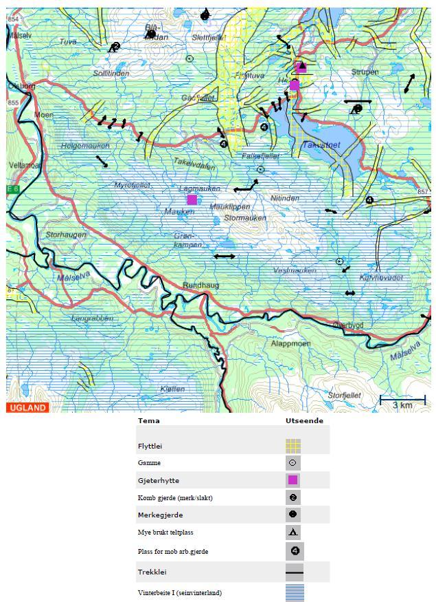 Figur 3. Utsnitt av reindriftskart for Mauken reinbeitedistrikt (Andersen et al. 2007:15, jf. www.reindrift.no) I år med dårligere beiter er dette umulig og man må la reinen spre seg over større områder.