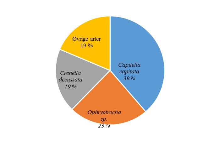 Lokalitet: Øyra Tabell 3.1.2.1 De ti hyppigst forekommende artene ved ØYR-2, oppgitt i antall og prosent, samt NSI-gruppe for de respektive artene.