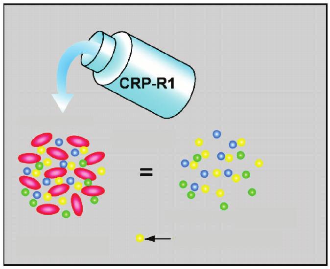 17 Referanseinformasjon CRP-reagensprinsipper R-1 lyseringsreagens på fullblod lyserer RBC.