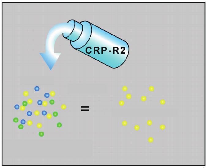 Løsning uten RBC-er C-reaktivt protein Etter lysering av RBC er antigener fortsatt til stede i løsningen.