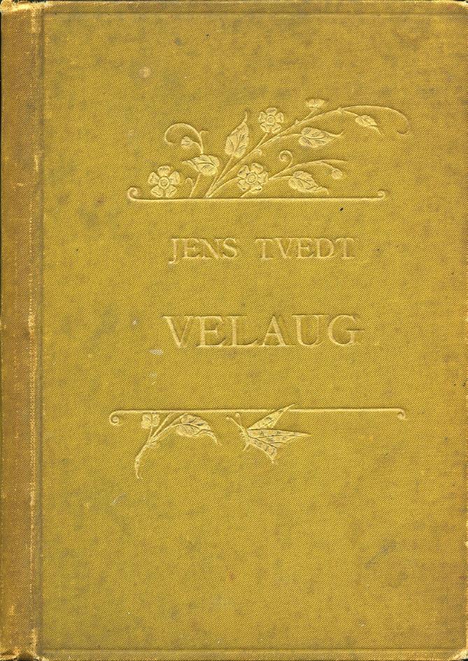 1889 Tengill Hovda [Omslag] 1891