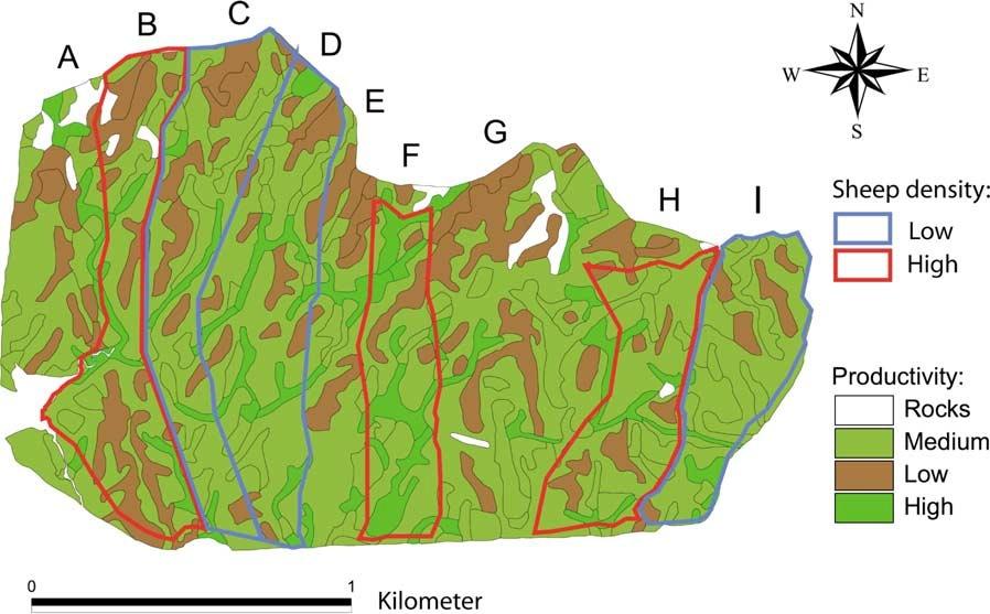 VEGETASJONSTYPER - PRODUKTIVITET HABITATSELEKSJON Figur 1.