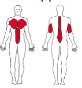 5. Push-Ups med stopp (Reps: 8-15, Sets: 2-4) Stå på tærne med strake armer og hendene i matten/gulvet. Hendene plasseres i skulderbreddes avstand.