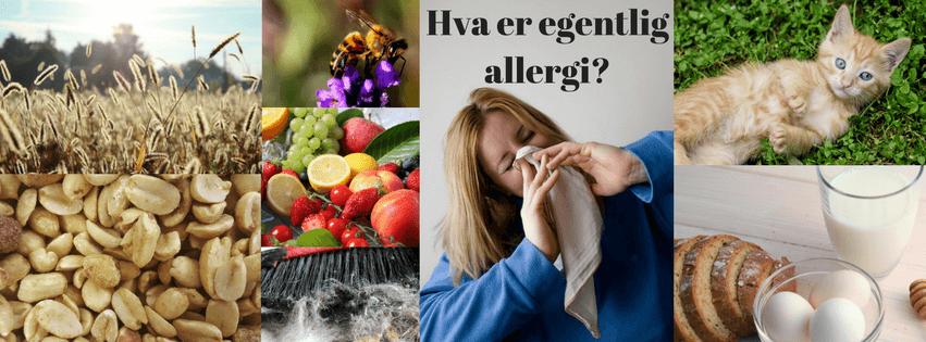Allergi hos barn og ungdom Matvareallergi