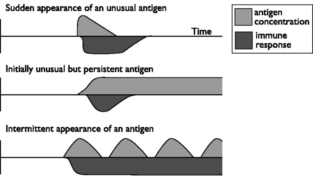 Switching may present risk: immune tolerance and persistency of antigen The