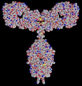 Biologics Are Far More Complex