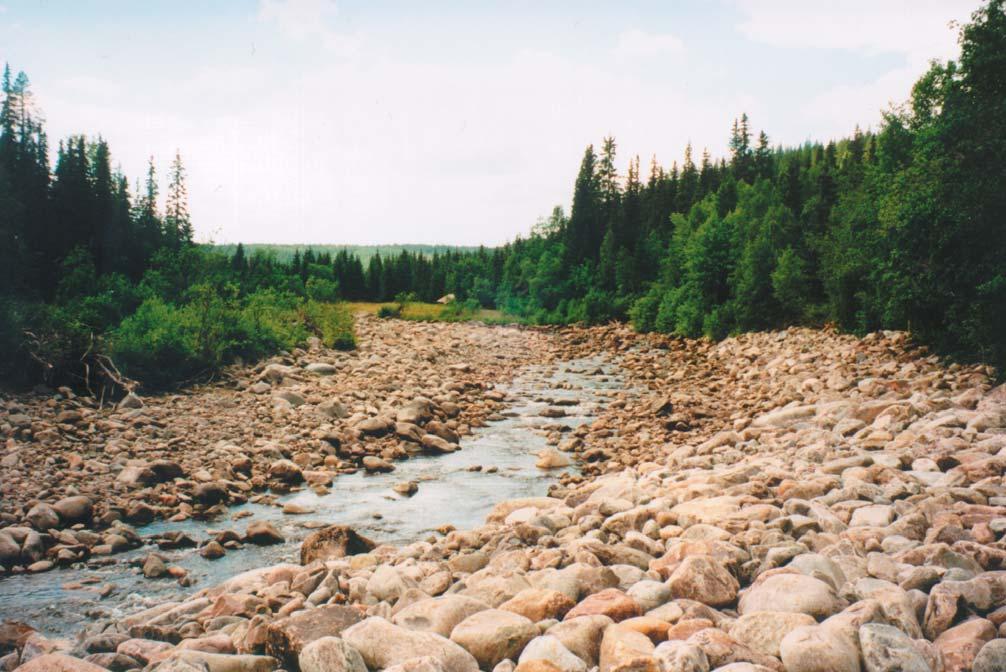 Fig 11. Elveløpet i Åsta vassdraget består av svært grove fraksjoner som bare er i bevegelse under de aller største flommene. Fig 11.