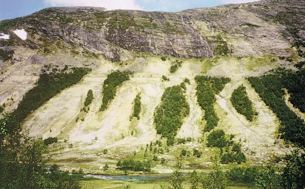 Fig 16. Foto av skredbaner i Ulvåa tatt 19 juli 1997. Fig 16. Photo of mudflow tracks on 19 July 1997. Photo: Jim Bogen. under en slik flom og i tiden like etterpå.