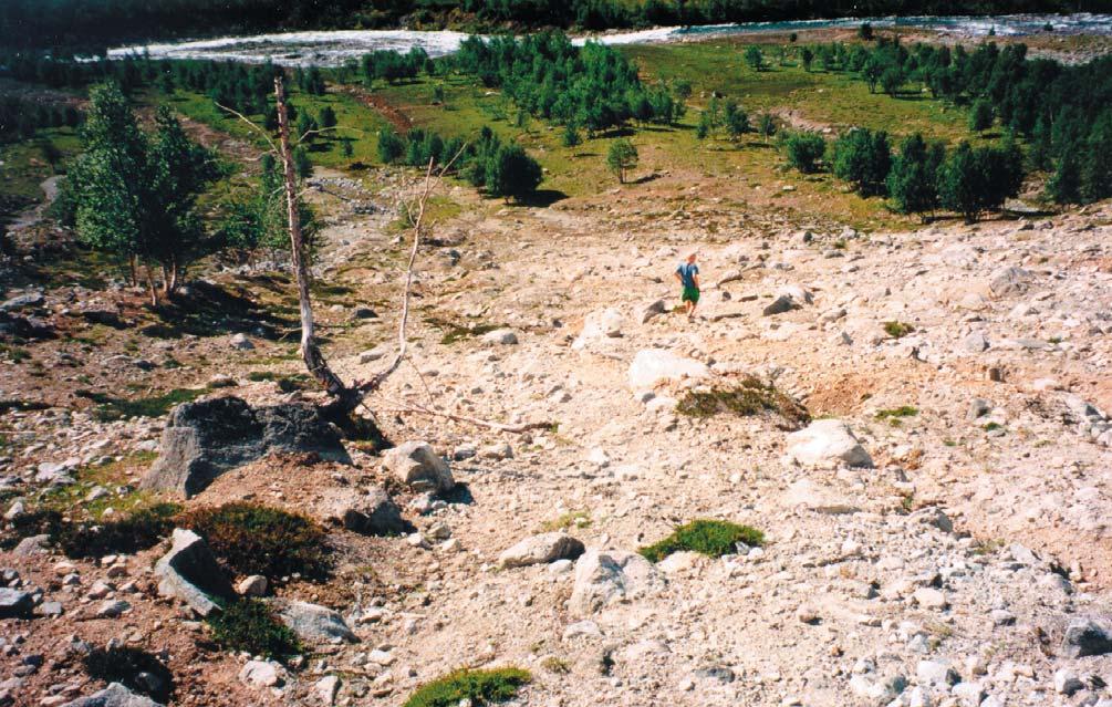 Fig 17. Nærbilde av aktiv erosjon og massebevegelse i skredbanene i Ulvåa. Fig 17. Close up photo of active erosion and mass movement in the mudflow tracks. Photo: Jim Bogen, 19 July 1997. 2.