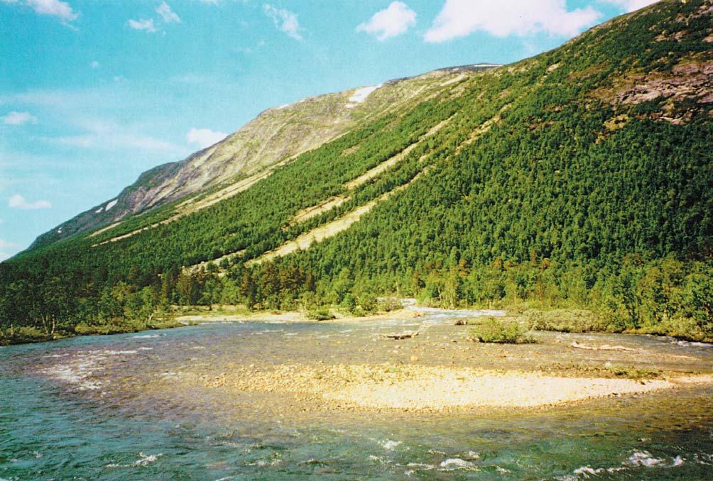 Fig 18. Steinbanker i Ulvåas løp nedstrøms for skredbanene. Fig 18. Stone bars developed in the main channel of the river Ulvåa downstream from the mudflow tracks. Photo: Jim Bogen, 19 July 1997.