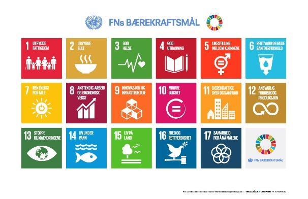 FNs bærekraftsmål - eksempler Innen 2030 oppgradere infrastruktur og omstille næringslivet til å bli mer bærekraftig, med en mer effektiv bruk av ressurser og større anvendelse av rene og