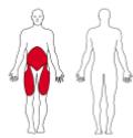 2. Omvendt Nordic hamstring m /retur (på tå) (Reps: 5-20, Sets: 3-5) I en knestående posisjon, ryggen nøytral og hendene i siden. Sett tærne i underlaget.