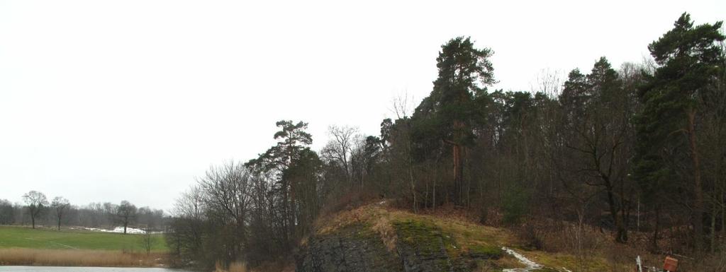 Biologisk vurdering av kyststitrasé innerst i