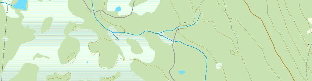 Svantjenn Halvorstjennet Naturfaglige registreringer i forbindelse med vern av skog under