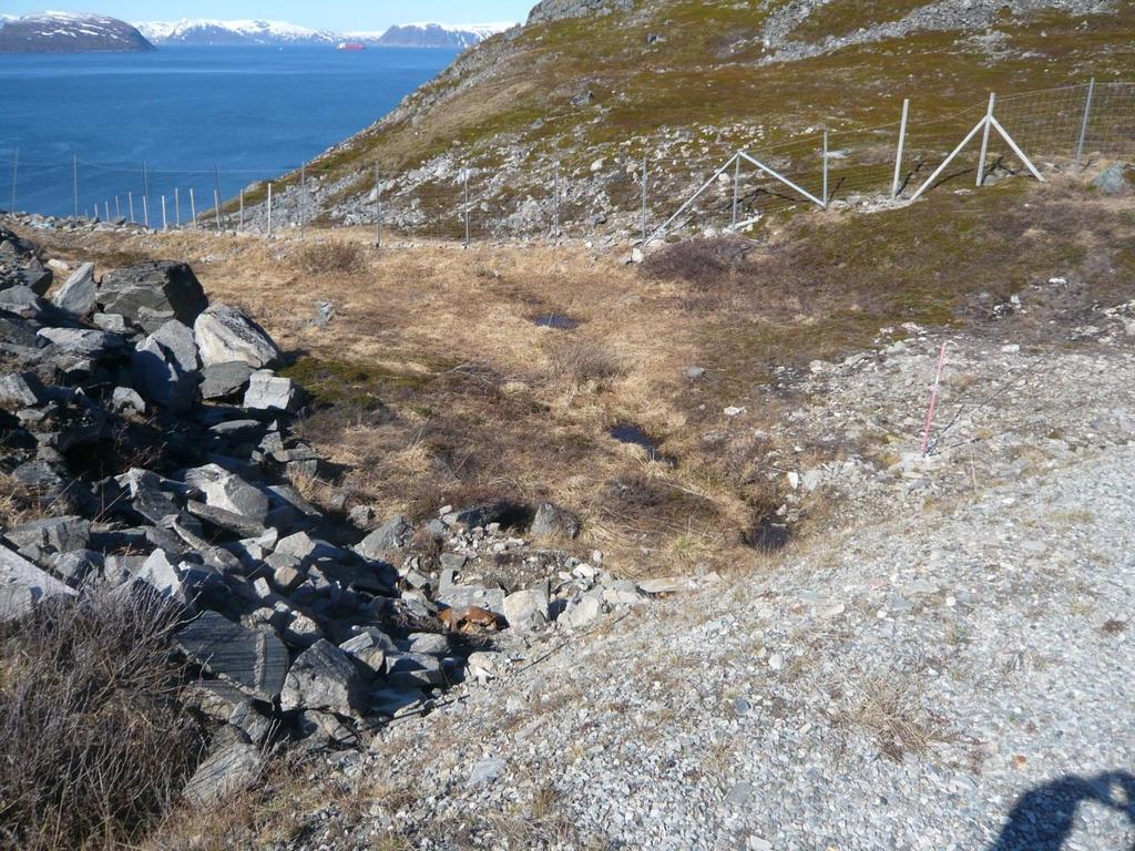 Ved siden av det gamle brannøvingsfeltet ligger et myrområde, cirka 2 3 meter lavere enn brannøvingsfeltet, se figur 5.