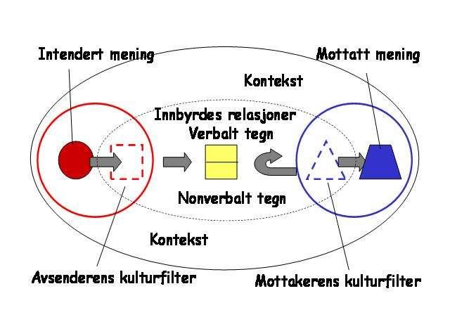 samfunn vektlegger gjerne vibevissthet, kollektiv identitet, følelses-messig avhengighet, gruppesolidaritet, å dele, ansvar og plikter, ( ), gruppetilhørighet og partikularisme (Kim et al. 1994, s.