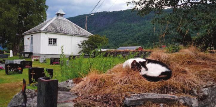 Eller av andre årsaker som vi knapt kan tenke oss. Men vi lever i nuet, og oppfatter ikke at vi kan være sårbare. «Gud signe vårt dyre fedreland og lat det som hagen bløma!