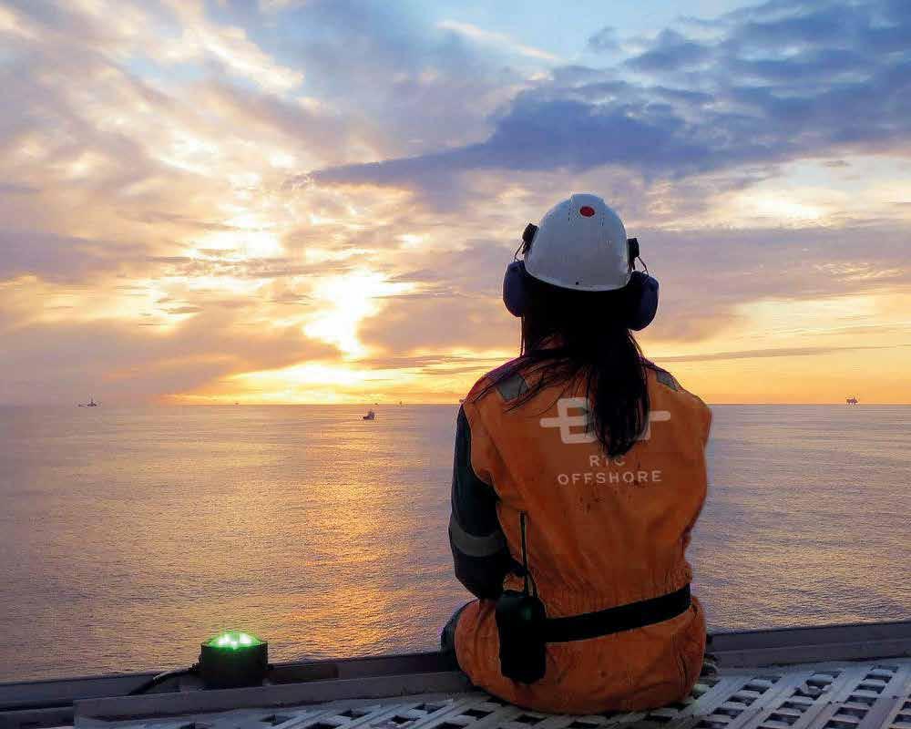 Seasoned professionals within Oil & Gas RTC Offshore AS offers premium