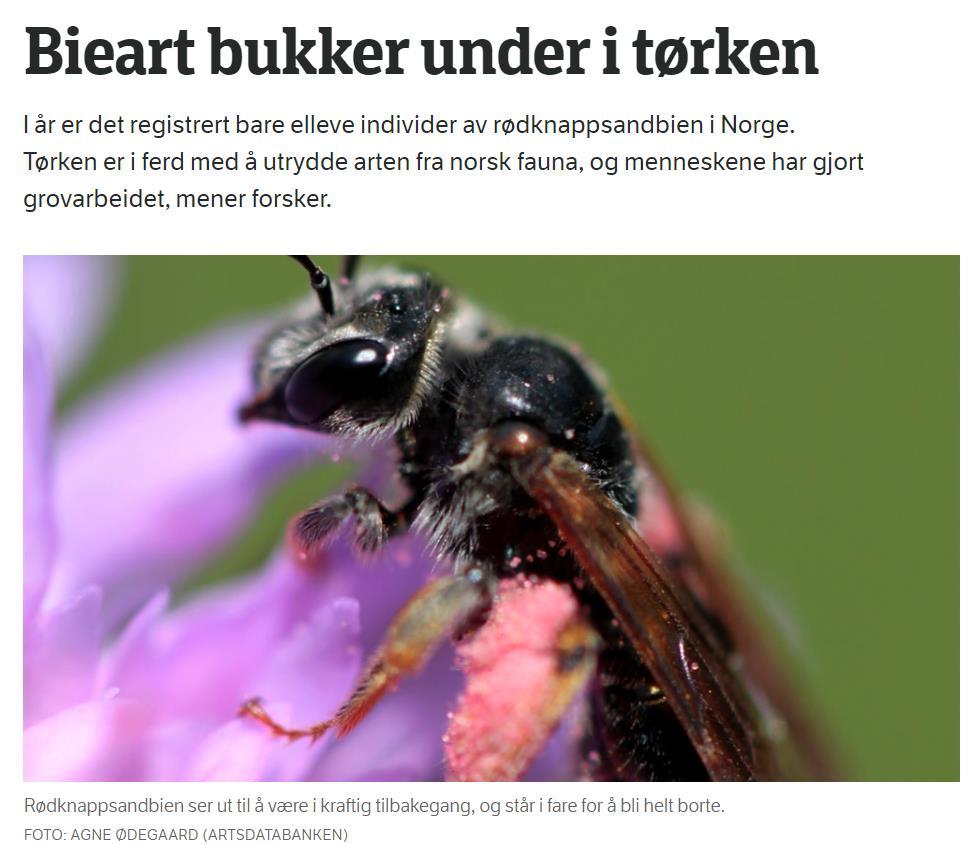 allerede begynt å