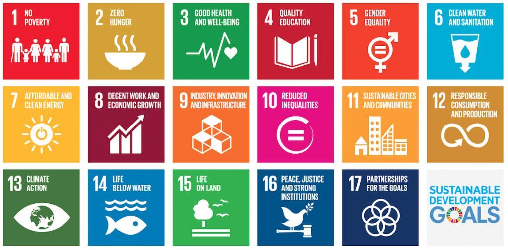 UN Sustainable Development Goals ( the SDGs ) ble i 2015 lansert for å få slutt på
