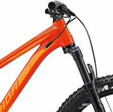 SMART ENTRY Cables, housings and brake hoses are clamped under tension to prevent rattling when the trail gets rough.