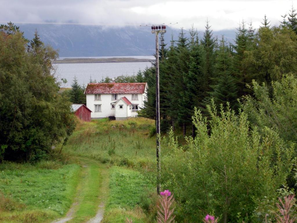 Driftsbygningen er borte og jordkjelleren står med steinmurene uten tak. 1815-102-027.