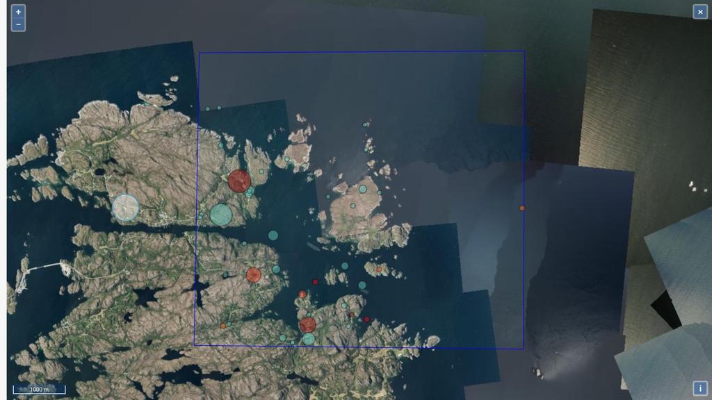 Kart 1: Kart over Herøya i Hitra kommune.