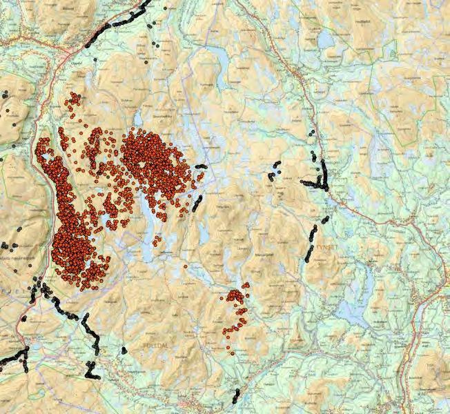 Figur 58a 58c. Alle GPS-lokaliseringer i Knutshø (røde prikker) fra periodene august desember, januar april og mai juni. Grå prikker viser fangstgropene / fangstgroprekkene i om-rådet. NINA-data.